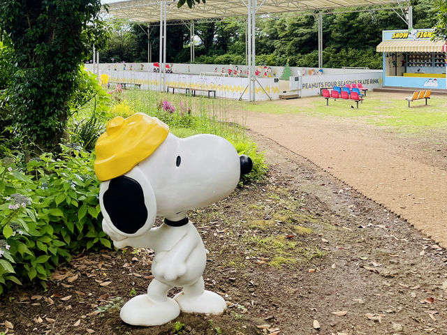 濟州｜Snoopy Garden 史努比庭園