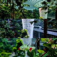 Art, Nature & City Vibes - Perfect for Explorers