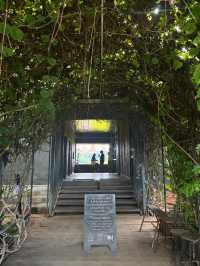 Fields, Sips & Serenity – Meena Café Magic in Kanchanaburi