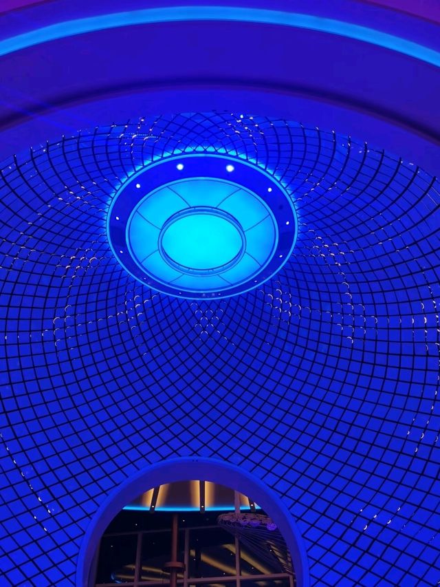 Icon of the Seas 7-day journey from Cozumel❤️