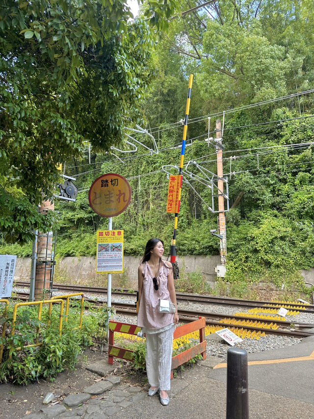 교토 당일치기 알짜배기 여행코스 🇯🇵🚌