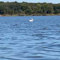 Fort Cobb Lake – Fort Cobb, OK