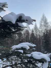 聖山天池 四季奇境 — 長白山
