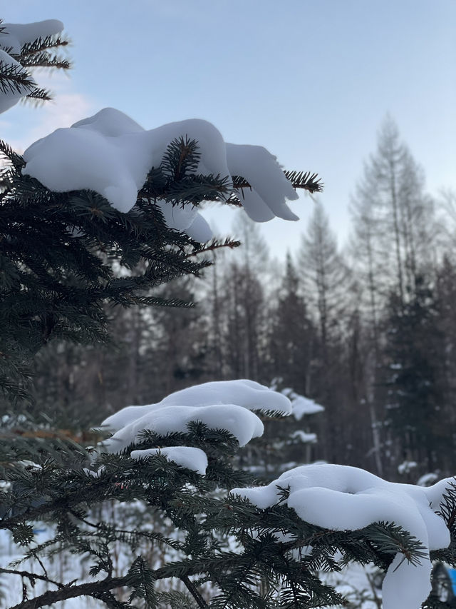聖山天池 四季奇境 — 長白山