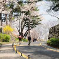 Namsan Seoul Tower 🗼🌆