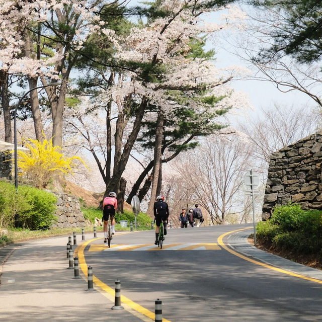 Namsan Seoul Tower 🗼🌆
