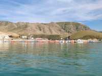 Return Boat Trip: Kurtai Dock to Kushtay Dock