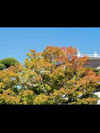 【明治の香り漂う洋館✨仁風閣で優雅なひととき】