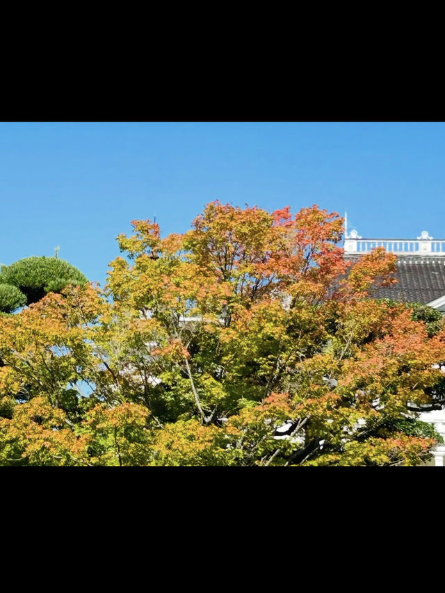 【明治の香り漂う洋館✨仁風閣で優雅なひととき】