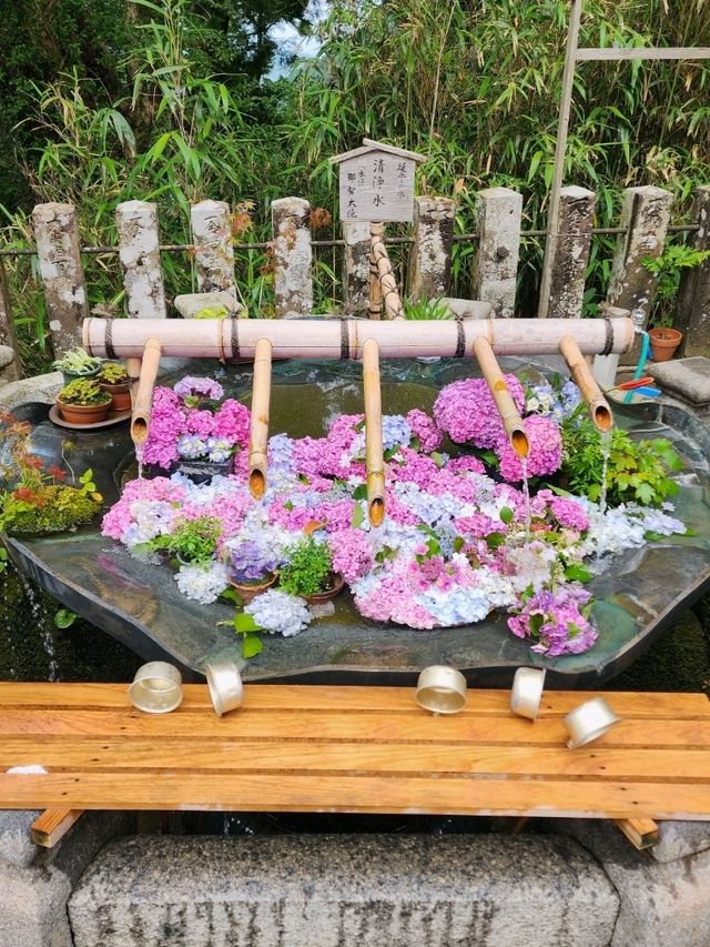 【和歌山グルメ】那智の滝名物・お食事処かいはみ