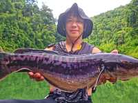 到泰国秋兰湖感受钓鱼天堂和野生动物天堂的魅力