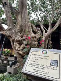 劍門關