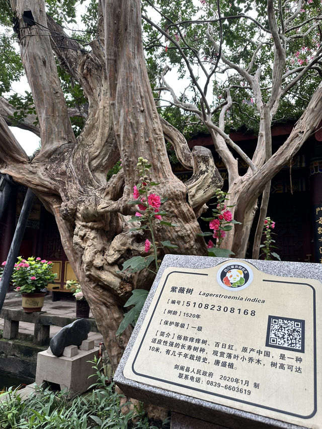 劍門關