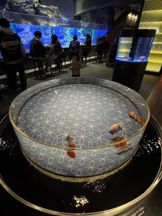 Sumida Aquarium 🐠🎏✨