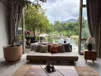 Serene House Café 🫙🫗