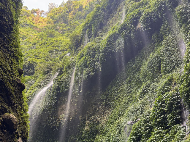 Bromo Kawah ijen Madakaripura Tumpaksewu Trip 