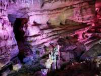 Caves & Forest Vibes