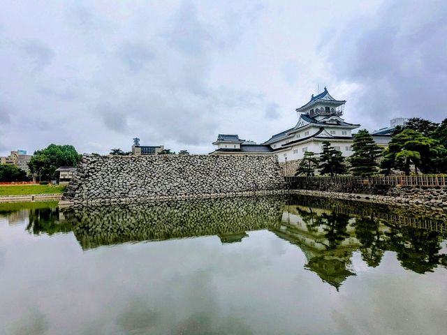 富山 | 富山城&城跡公園，瞭解富山鄉土歷史的好去處