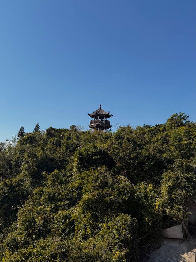 Another cool thing about Yalong Bay? The Yalong Bay Tropical Paradise Forest Park in the hills! 🌿