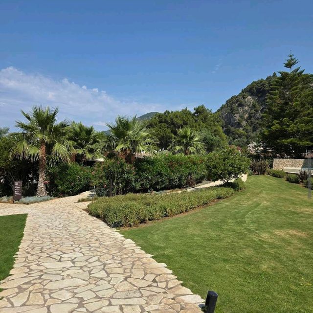 Domes of Corfu, Autograph Collection