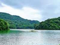 Shimenshan Forest Park