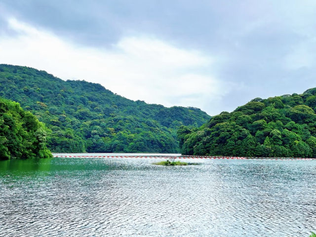 Shimenshan Forest Park