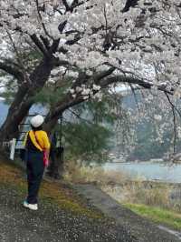 ปิกนิกริมทะเลสาบที่ Wakakusa-no-yado Maruei Hotel