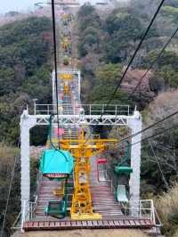 神戶須磨浦山上遊樂園🎢🌊 山頂有單軌車