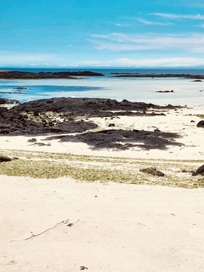 A Unique Celebration of Jeju's Iconic Stone Walls
