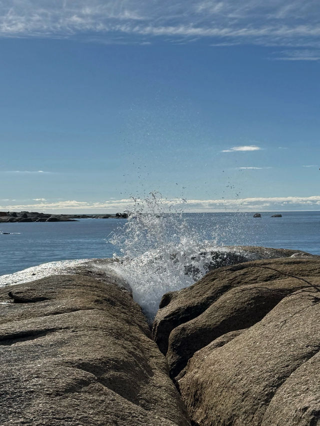 6D5N Family Adventure in Tasmania – Breathtaking Views, Cool Weather & Hidden Gems! 🐨 