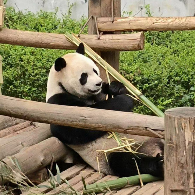 【中国/青島動物園】