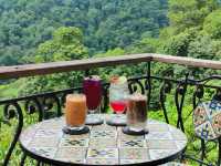 First Valley Coffee Estate