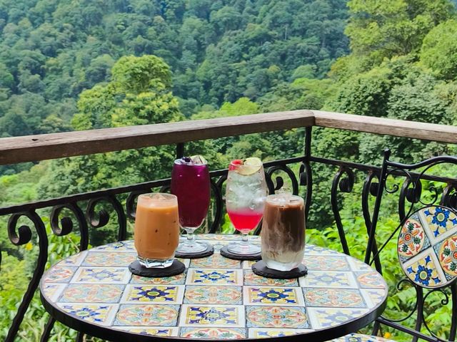 First Valley Coffee Estate