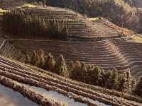 Longsheng Rice Terraces: A Golden Ladder to the Sky