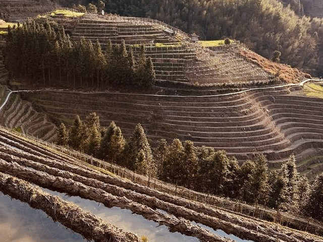Longsheng Rice Terraces: A Golden Ladder to the Sky