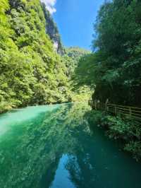 “Zhangjiajie Grand Canyon: Crystal Bridge over a Green Paradise”