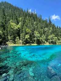 Jiuzhaigou Wonders: Beautiful Nature’s Masterpiece in Sichuan