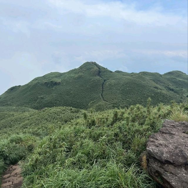 Hiking to the Top of Taipei, Qixing Mountain Main Peak Vibes