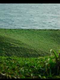 奄美大島で心ほどける島時間。青い海と緑の森に癒される旅