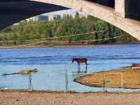 “Xinjiang: Nature’s Wild Frontier”
