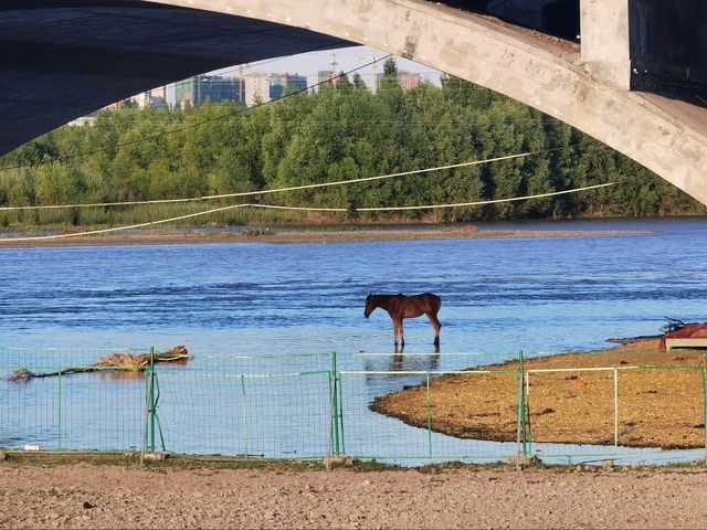 “Xinjiang: Nature’s Wild Frontier”