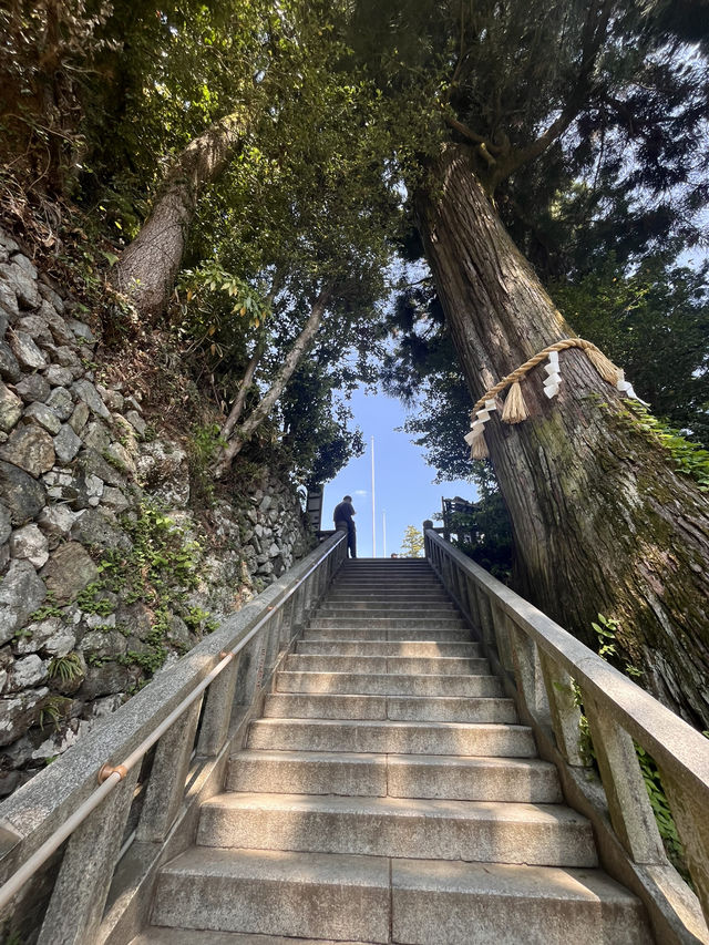 Mount Takao is the perfect half‑day escape: blend nature, culture, and light adventure