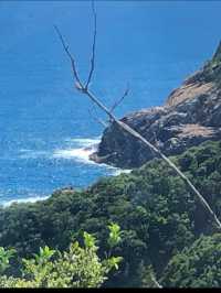 地球の丸さを感じる絶景！足摺岬で心がほどける旅