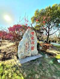 City’s Green Escape: Century Park