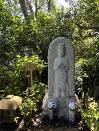 【鎌倉】長谷寺✿
