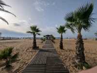 Golden Sands and Gentle Waves of Al Hammamat Beach 