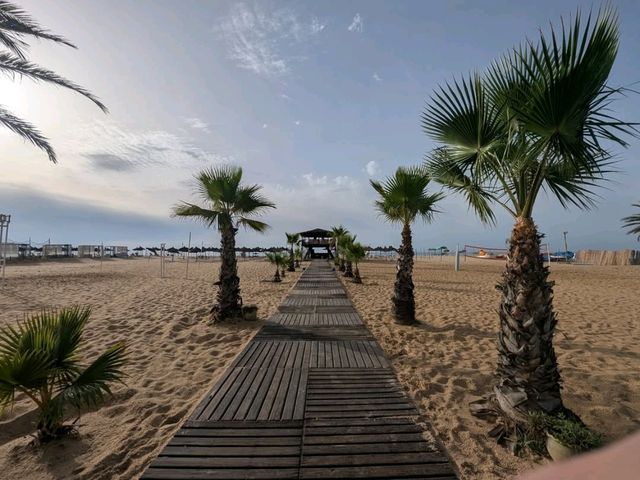 Golden Sands and Gentle Waves of Al Hammamat Beach 