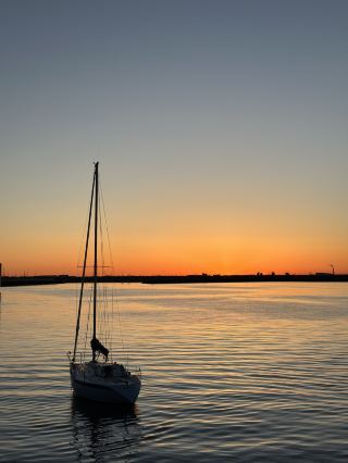The Beauty of Ireland's Nature: A Healing Time at Dun Laoghaire Beach