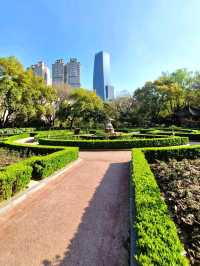 Relaxing Stroll at Zhongshan Park Shanghai