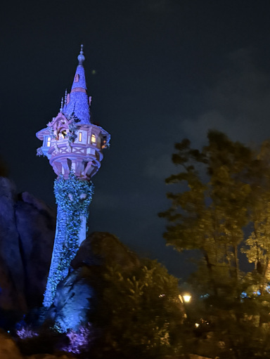 ディズニーシー】一度は乗って！🪽ラプンツェルのランタン